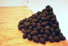 SEED BOMBS GIVEN AWAY AT EXHIBITIONS